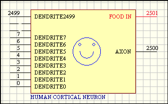 Neuron.gif (5510 bytes)