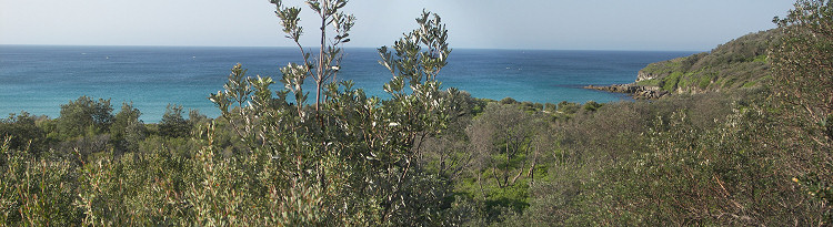 Cave Beach Panorama