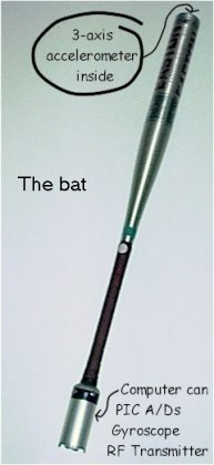 bat.jpg (13807 bytes)
